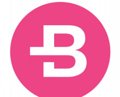 Bytecoinロゴ