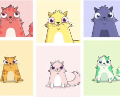 cryptkitty
