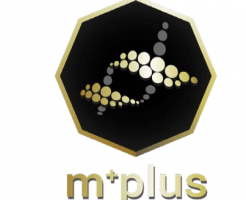 m+pluscoin