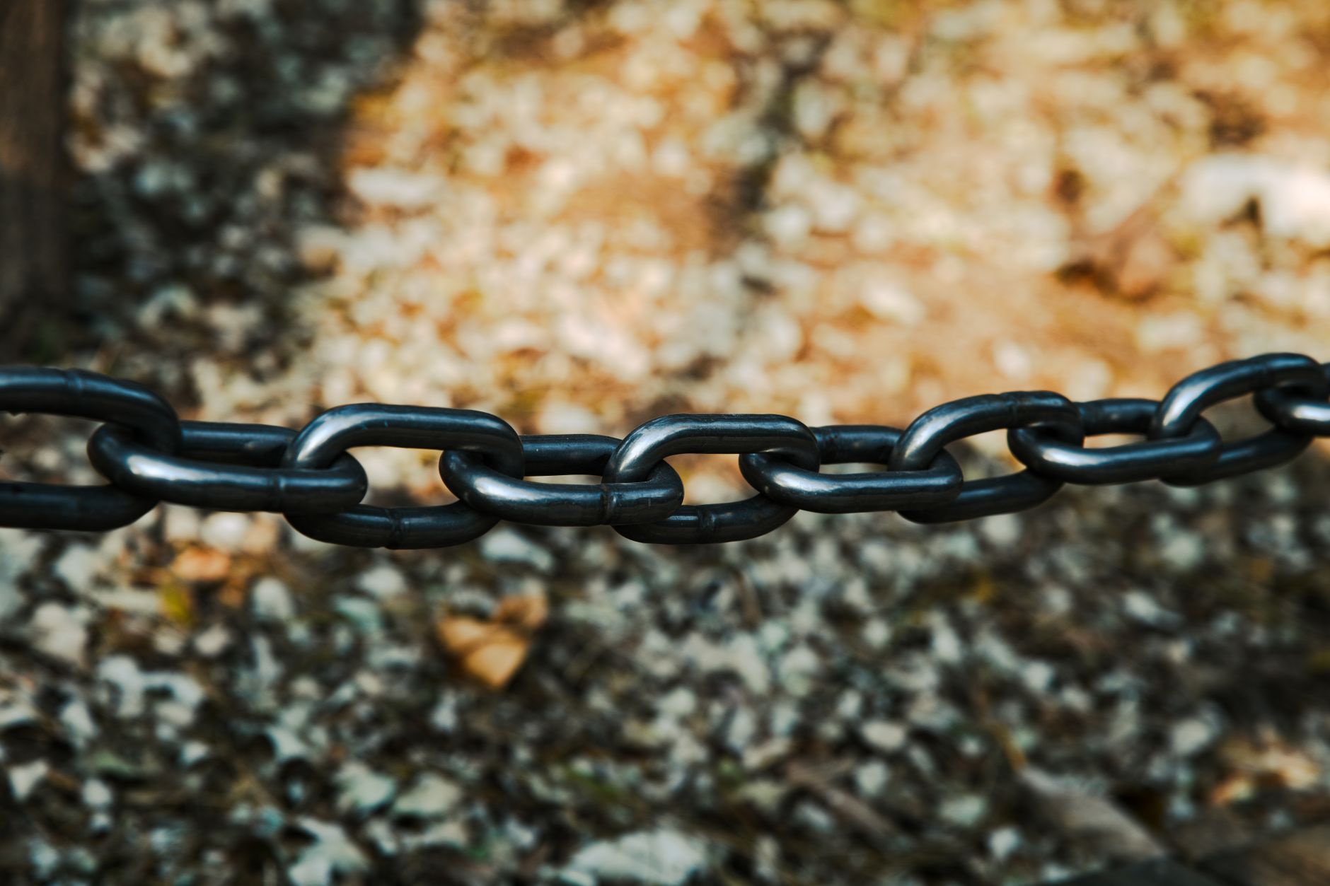 ブロックチェーンの仕組み:なぜ銀行なしで成り立つのか