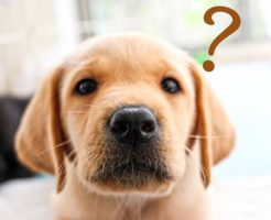 仮想通貨がわからない