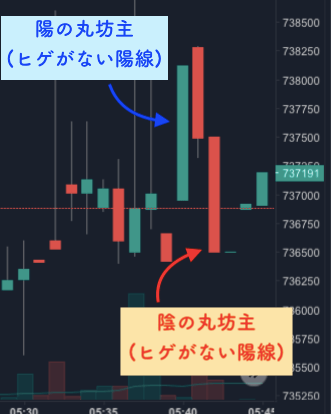 陽の丸坊主と陰の丸坊主